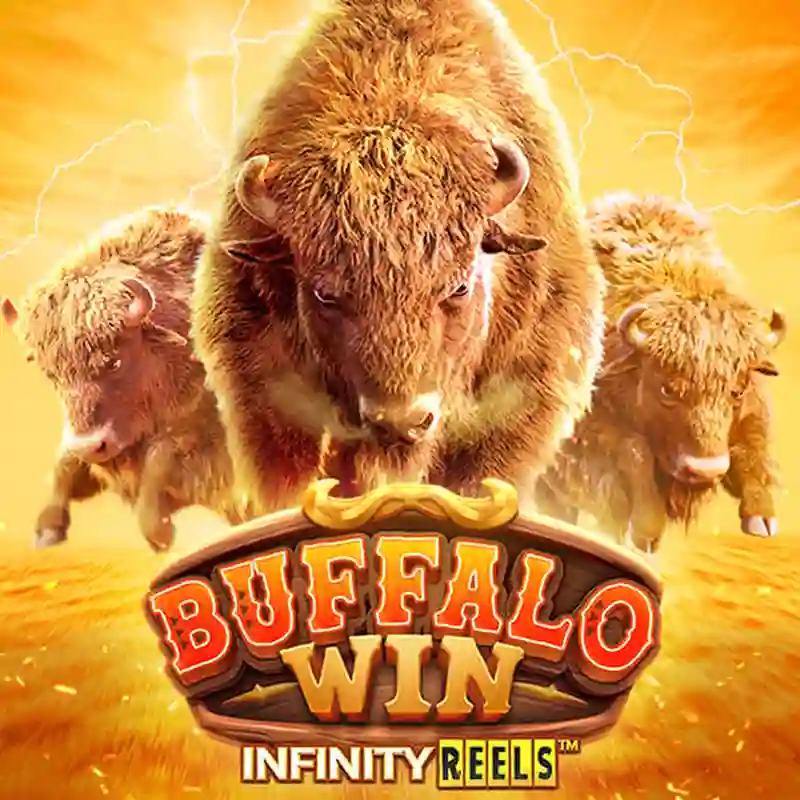 PGS Buffalo Win Tragamonedas Casino okclubmx
